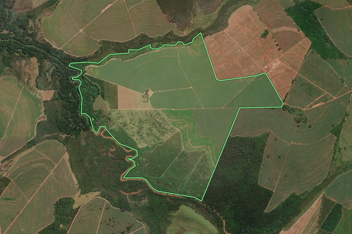Imagem de satélite do imóvel rural em Olímpia (SP), com o contorno declarado no CAR desenhado por cima.