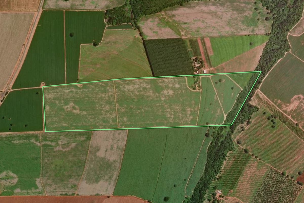 Imagem de satélite do imóvel rural em Olímpia (SP), com o contorno declarado no CAR desenhado por cima.