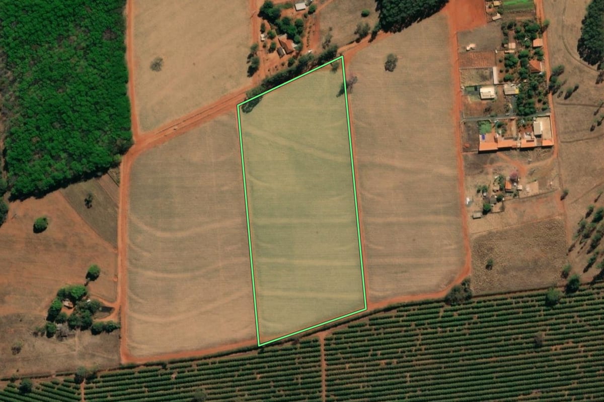 Imagem de satélite do imóvel rural em Onda Verde (SP), com o contorno declarado no CAR desenhado por cima.