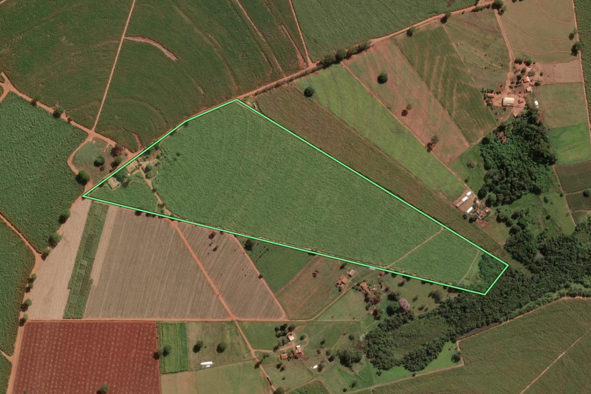 Imagem de satélite do imóvel rural em Onda Verde (SP), com o contorno declarado no CAR desenhado por cima.