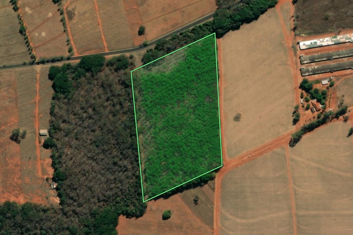 Imagem de satélite do imóvel rural em Onda Verde (SP), com o contorno declarado no CAR desenhado por cima.