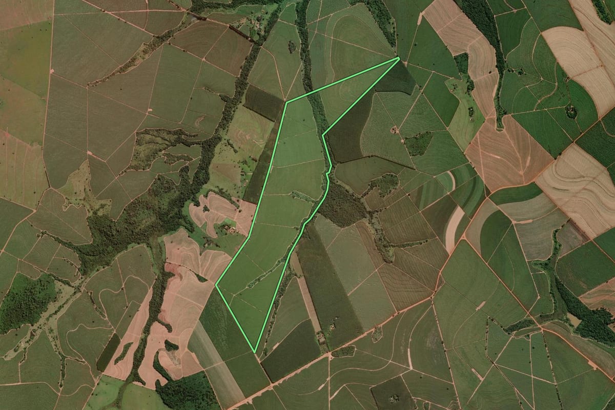 Imagem de satélite do imóvel rural em Onda Verde (SP), com o contorno declarado no CAR desenhado por cima.