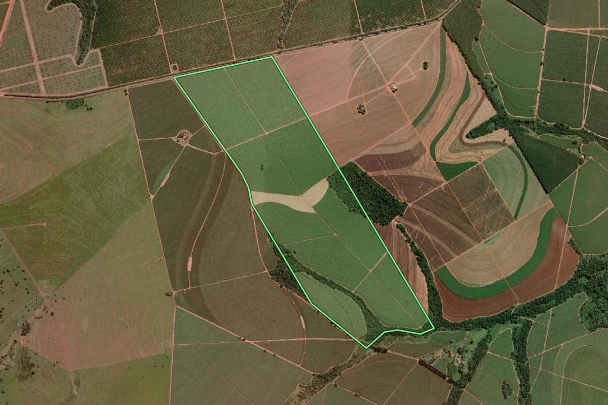 Imagem de satélite do imóvel rural em Onda Verde (SP), com o contorno declarado no CAR desenhado por cima.
