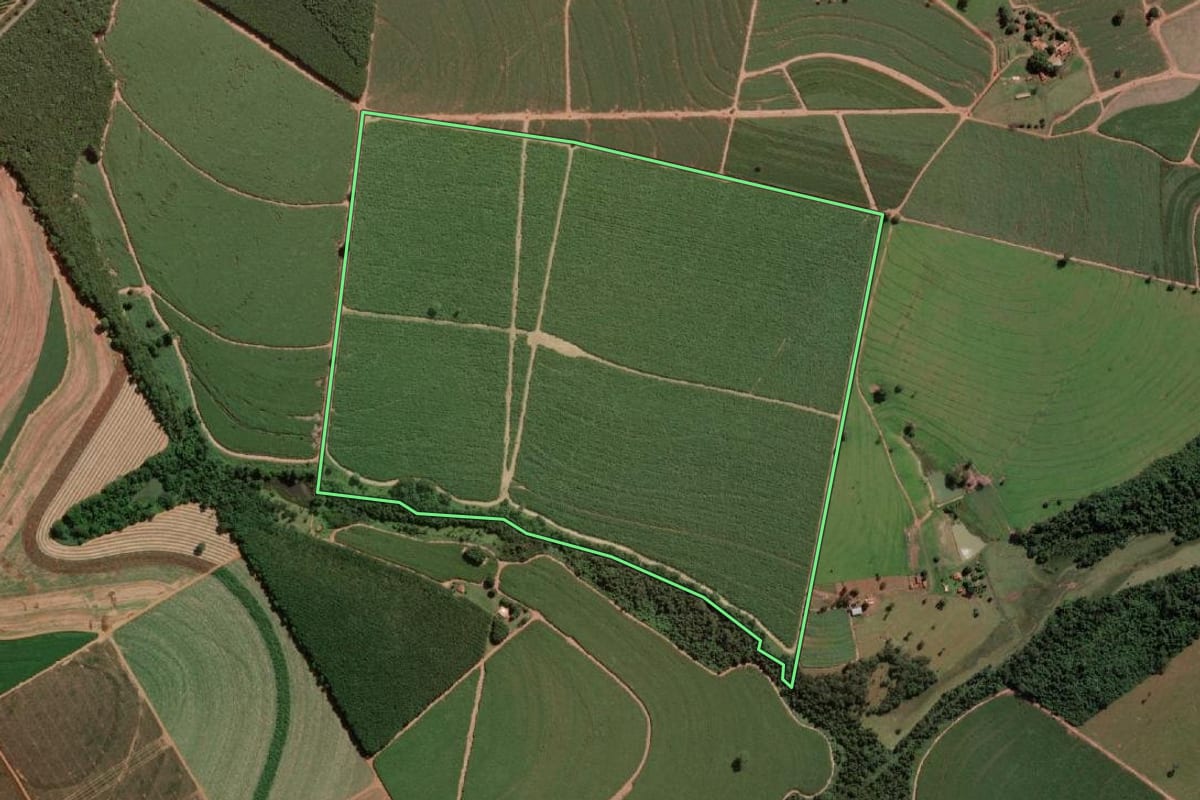 Imagem de satélite do imóvel rural em Onda Verde (SP), com o contorno declarado no CAR desenhado por cima.