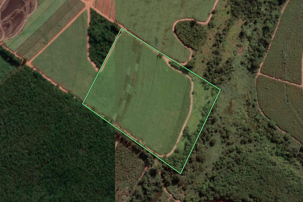Imagem de satélite do imóvel rural em Onda Verde (SP), com o contorno declarado no CAR desenhado por cima.