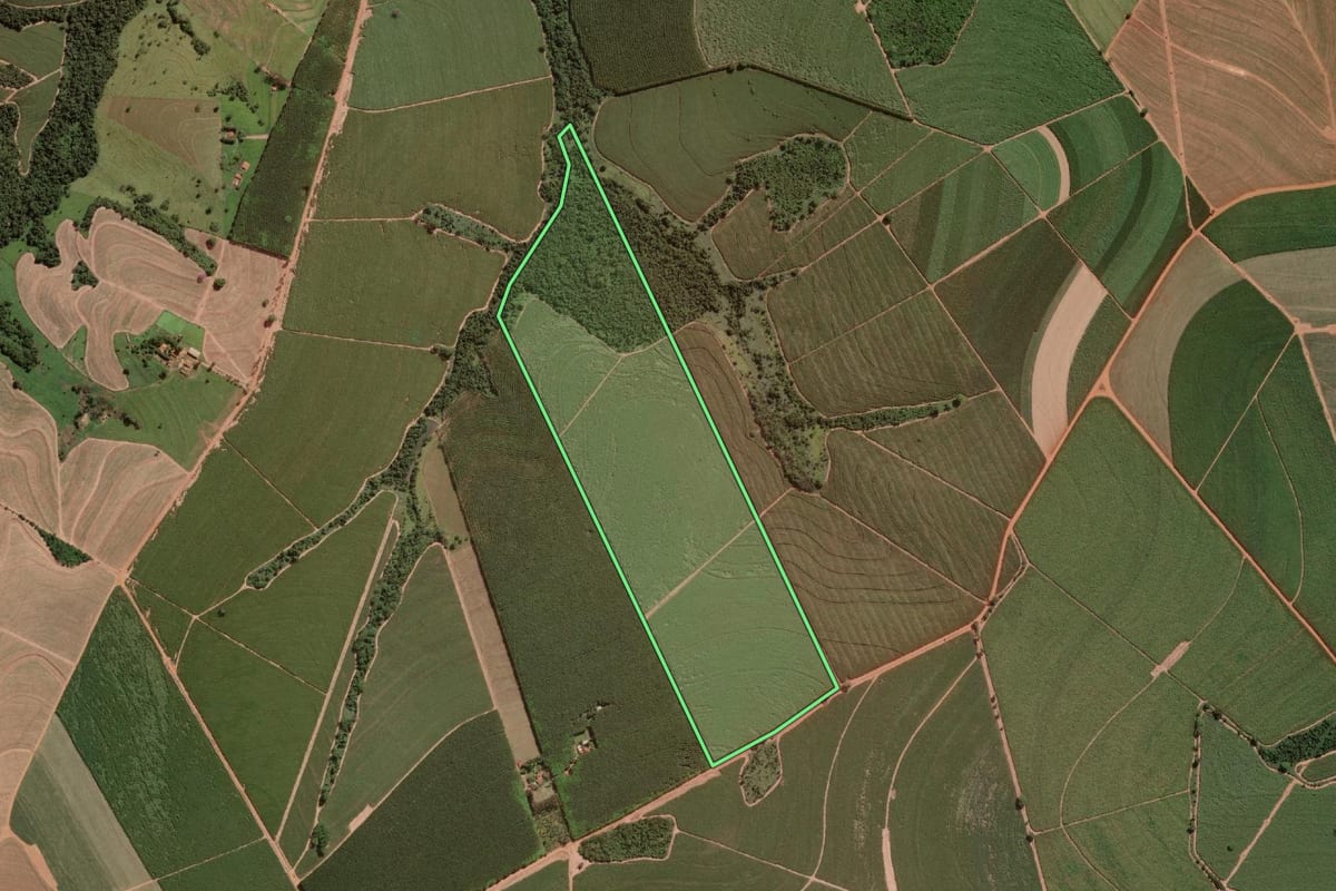 Imagem de satélite do imóvel rural em Onda Verde (SP), com o contorno declarado no CAR desenhado por cima.