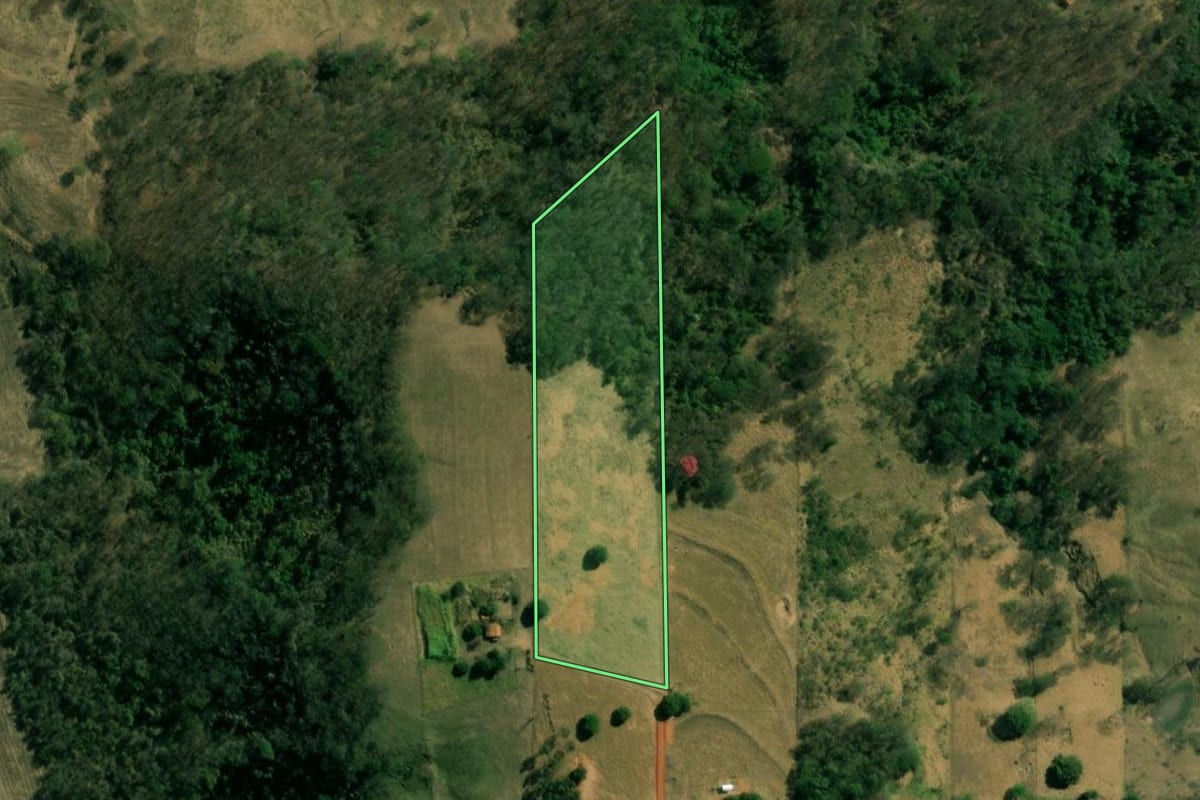 Imagem de satélite do imóvel rural em Oriente (SP), com o contorno declarado no CAR desenhado por cima.