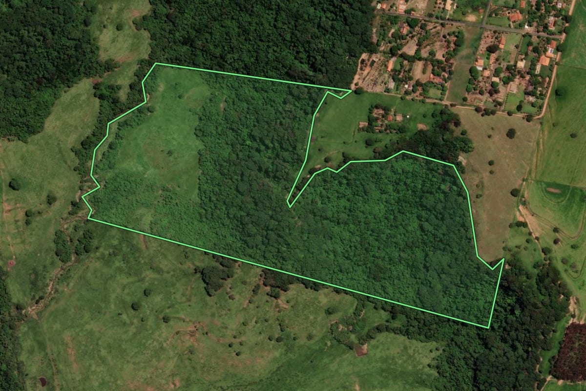 Imagem de satélite do imóvel rural em Oriente (SP), com o contorno declarado no CAR desenhado por cima.