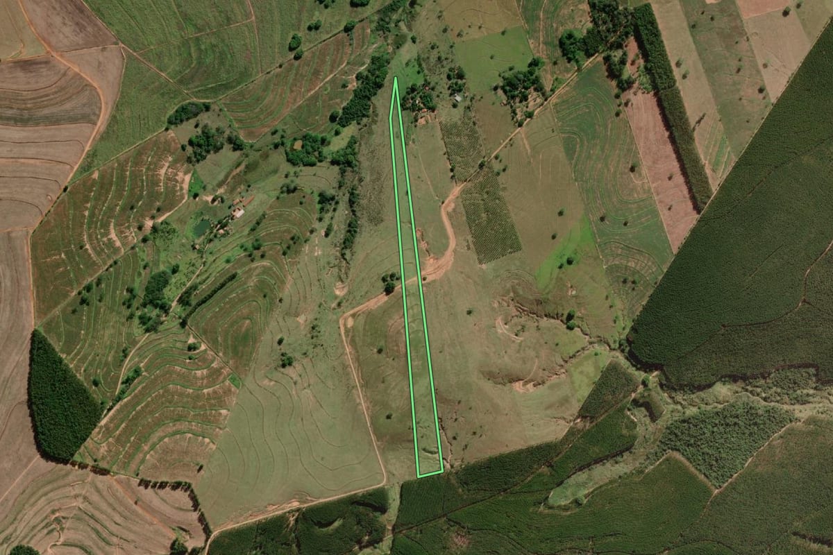 Imagem de satélite do imóvel rural em Oriente (SP), com o contorno declarado no CAR desenhado por cima.