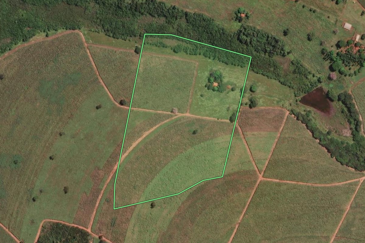 Imagem de satélite do imóvel rural em Orindiúva (SP), com o contorno declarado no CAR desenhado por cima.