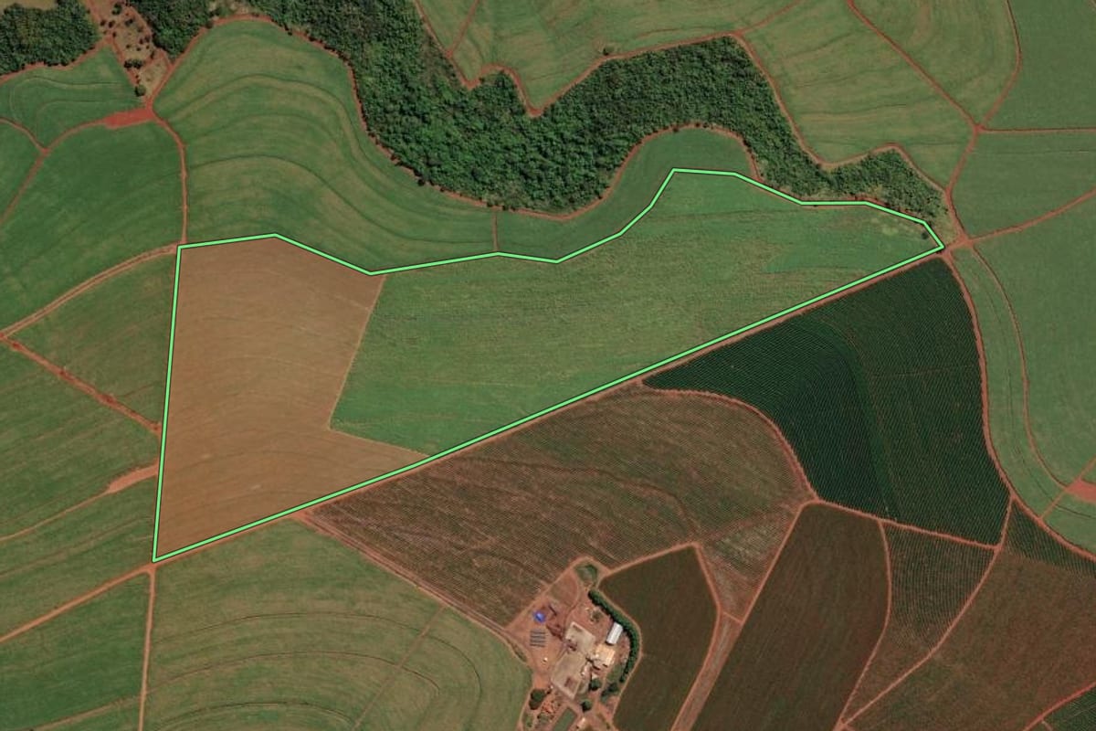 Imagem de satélite do imóvel rural em Orlândia (SP), com o contorno declarado no CAR desenhado por cima.