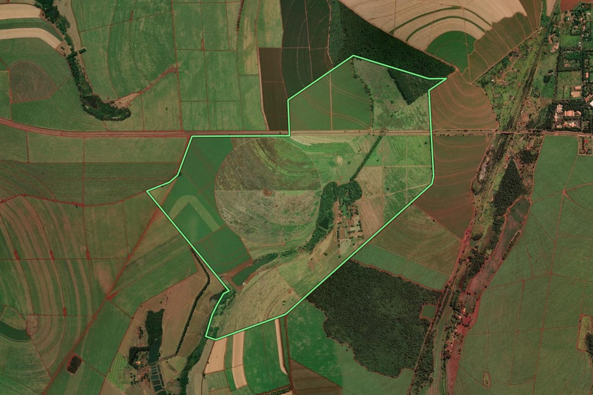 Imagem de satélite do imóvel rural em Orlândia (SP), com o contorno declarado no CAR desenhado por cima.