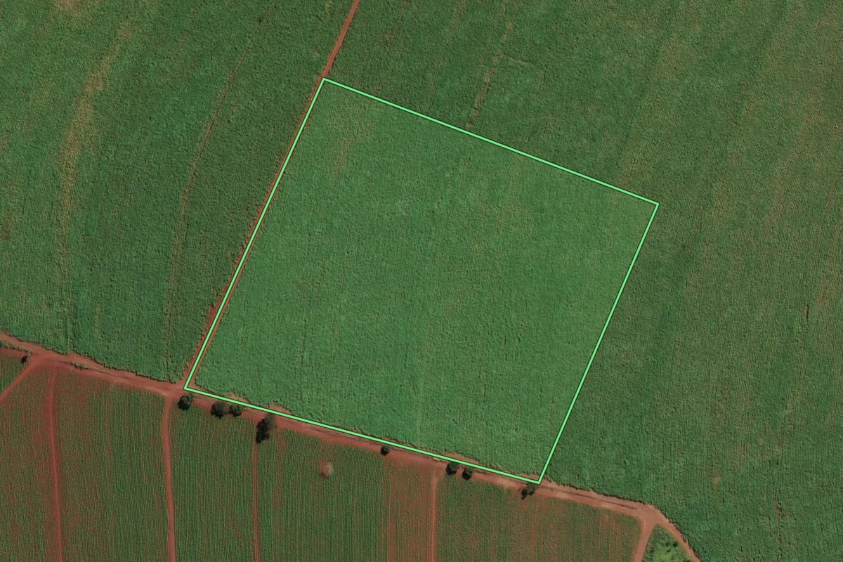 Imagem de satélite do imóvel rural em Orlândia (SP), com o contorno declarado no CAR desenhado por cima.