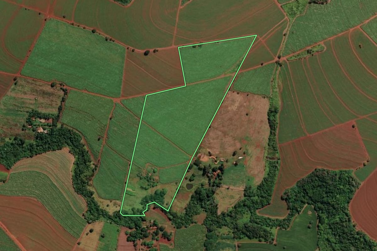 Imagem de satélite do imóvel rural em Orlândia (SP), com o contorno declarado no CAR desenhado por cima.