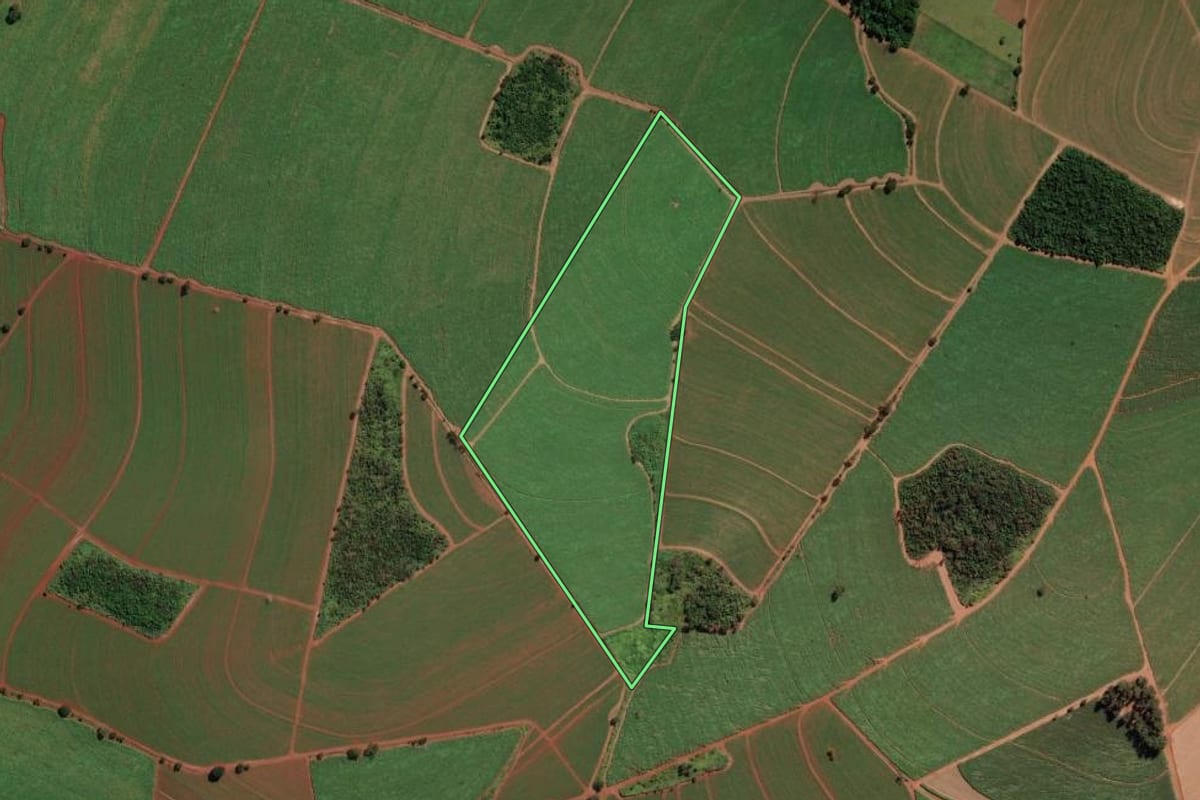 Imagem de satélite do imóvel rural em Orlândia (SP), com o contorno declarado no CAR desenhado por cima.