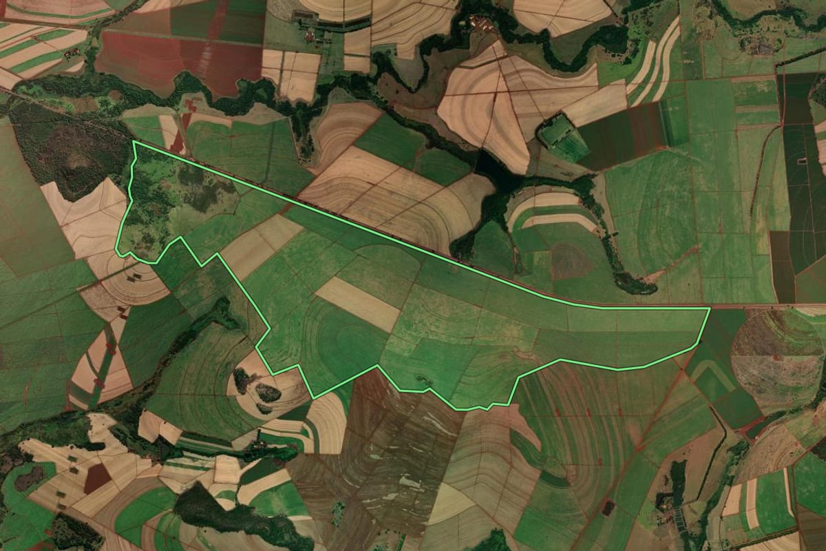 Imagem de satélite do imóvel rural em Orlândia (SP), com o contorno declarado no CAR desenhado por cima.