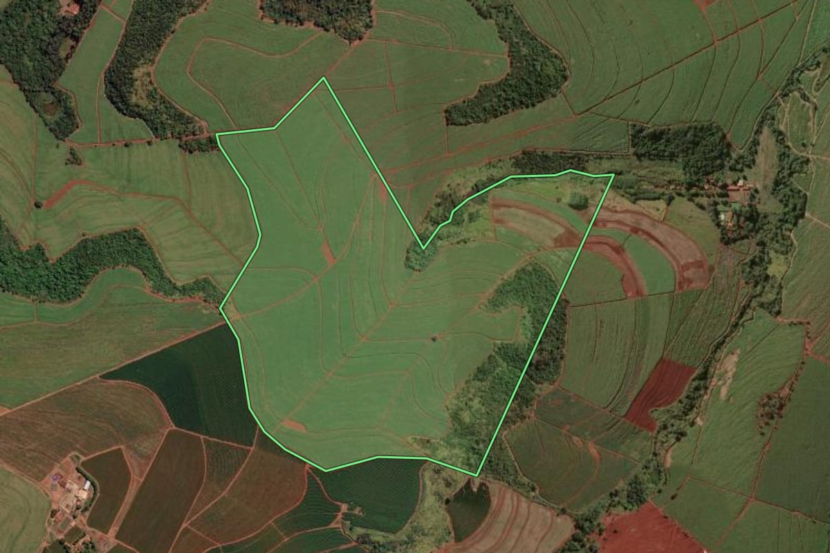 Imagem de satélite do imóvel rural em Orlândia (SP), com o contorno declarado no CAR desenhado por cima.