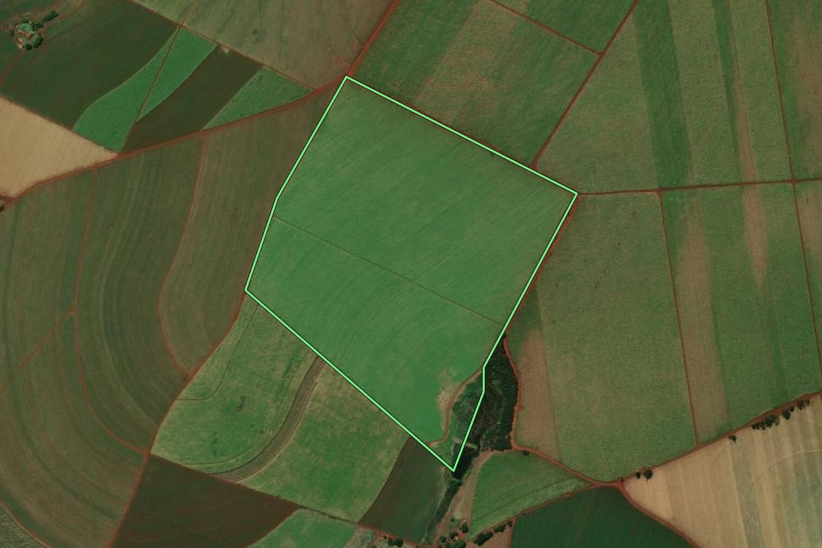 Imagem de satélite do imóvel rural em Orlândia (SP), com o contorno declarado no CAR desenhado por cima.