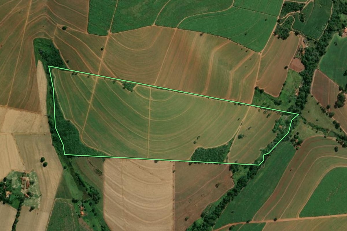 Imagem de satélite do imóvel rural em Orlândia (SP), com o contorno declarado no CAR desenhado por cima.