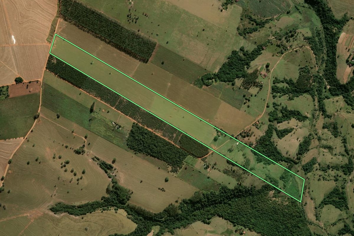 Imagem de satélite do imóvel rural em Oscar Bressane (SP), com o contorno declarado no CAR desenhado por cima.
