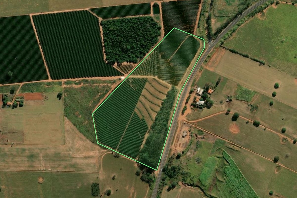 Imagem de satélite do imóvel rural em Oscar Bressane (SP), com o contorno declarado no CAR desenhado por cima.