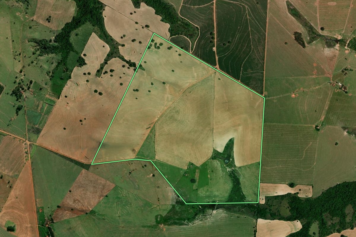 Imagem de satélite do imóvel rural em Oscar Bressane (SP), com o contorno declarado no CAR desenhado por cima.
