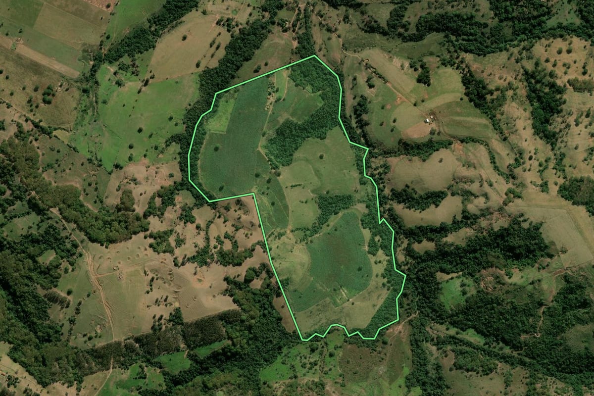 Imagem de satélite do imóvel rural em Oscar Bressane (SP), com o contorno declarado no CAR desenhado por cima.