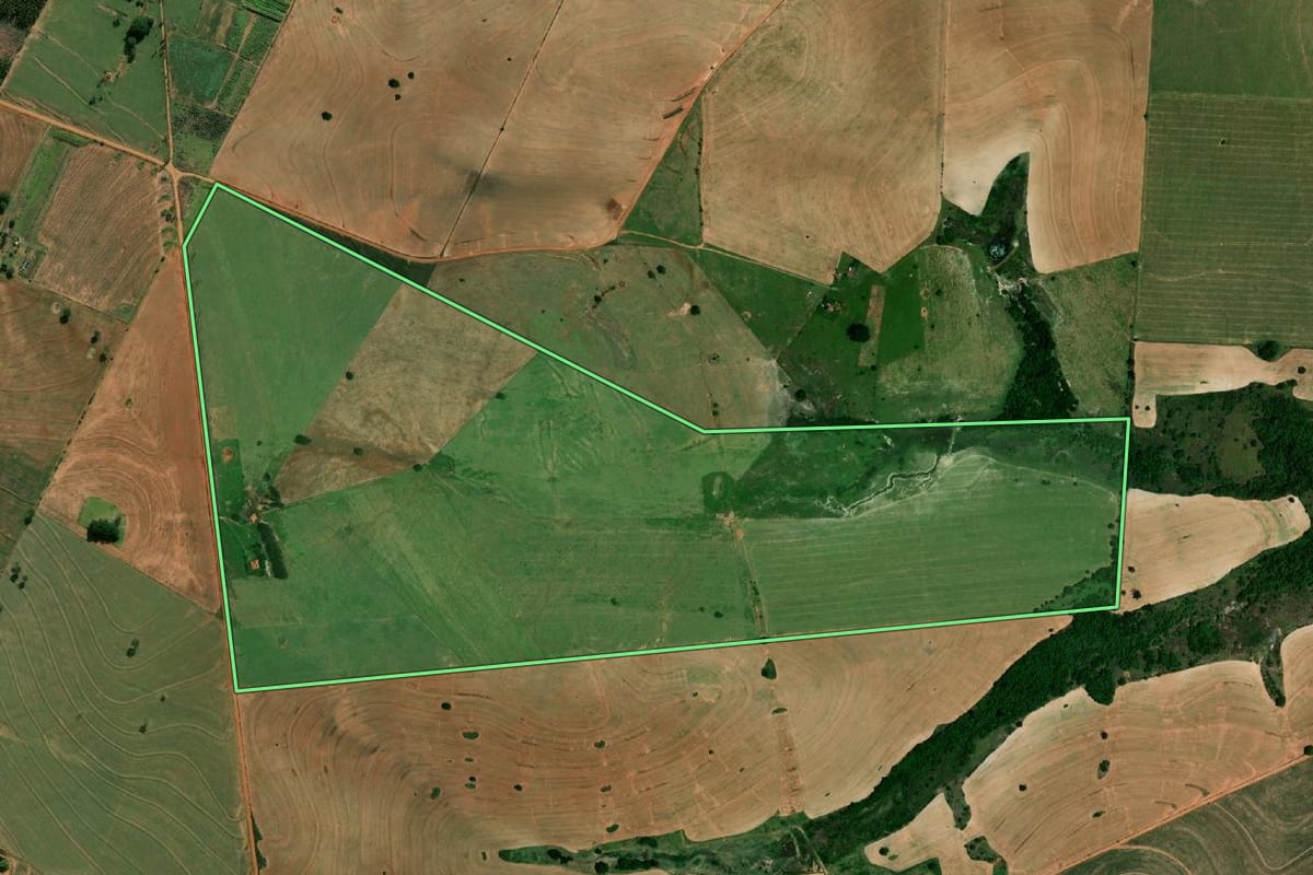 Imagem de satélite do imóvel rural em Oscar Bressane (SP), com o contorno declarado no CAR desenhado por cima.