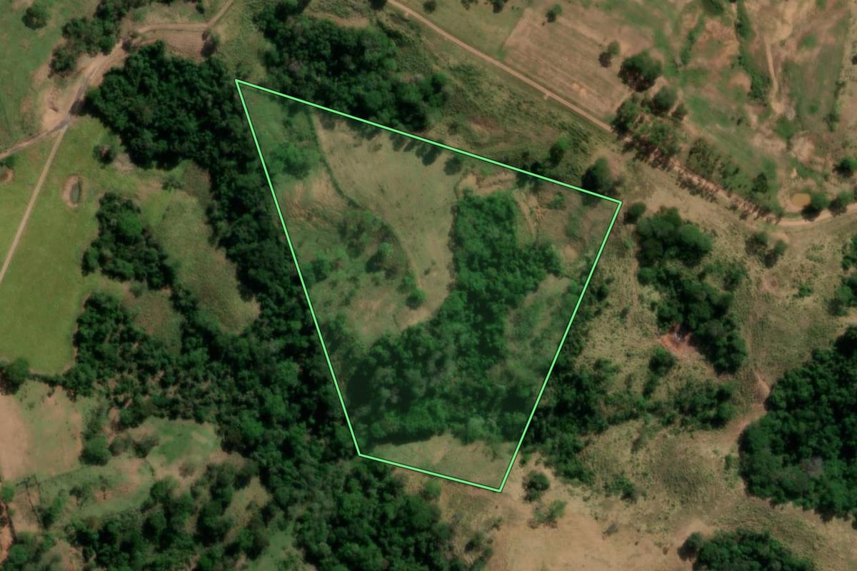Imagem de satélite do imóvel rural em Oscar Bressane (SP), com o contorno declarado no CAR desenhado por cima.