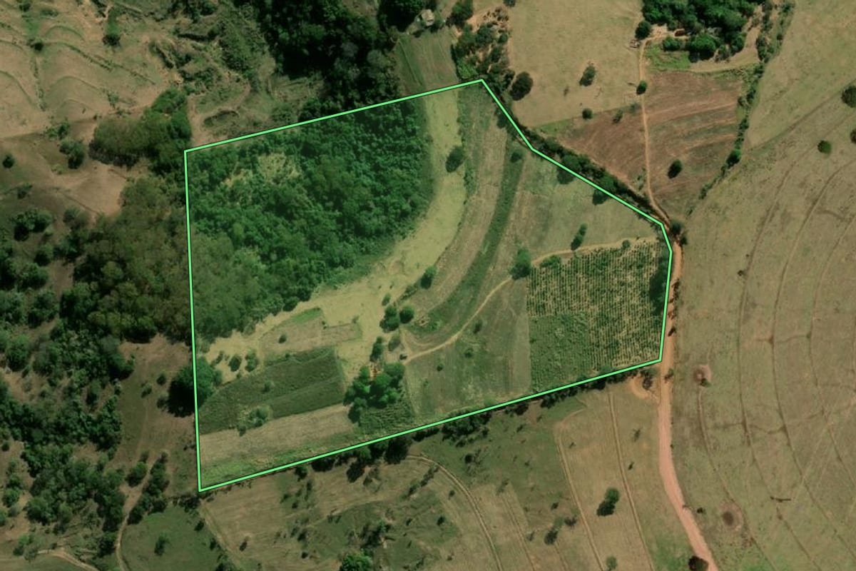 Imagem de satélite do imóvel rural em Oscar Bressane (SP), com o contorno declarado no CAR desenhado por cima.