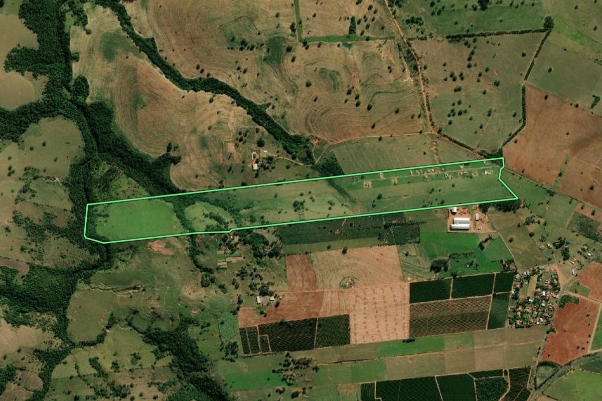 Imagem de satélite do imóvel rural em Oscar Bressane (SP), com o contorno declarado no CAR desenhado por cima.