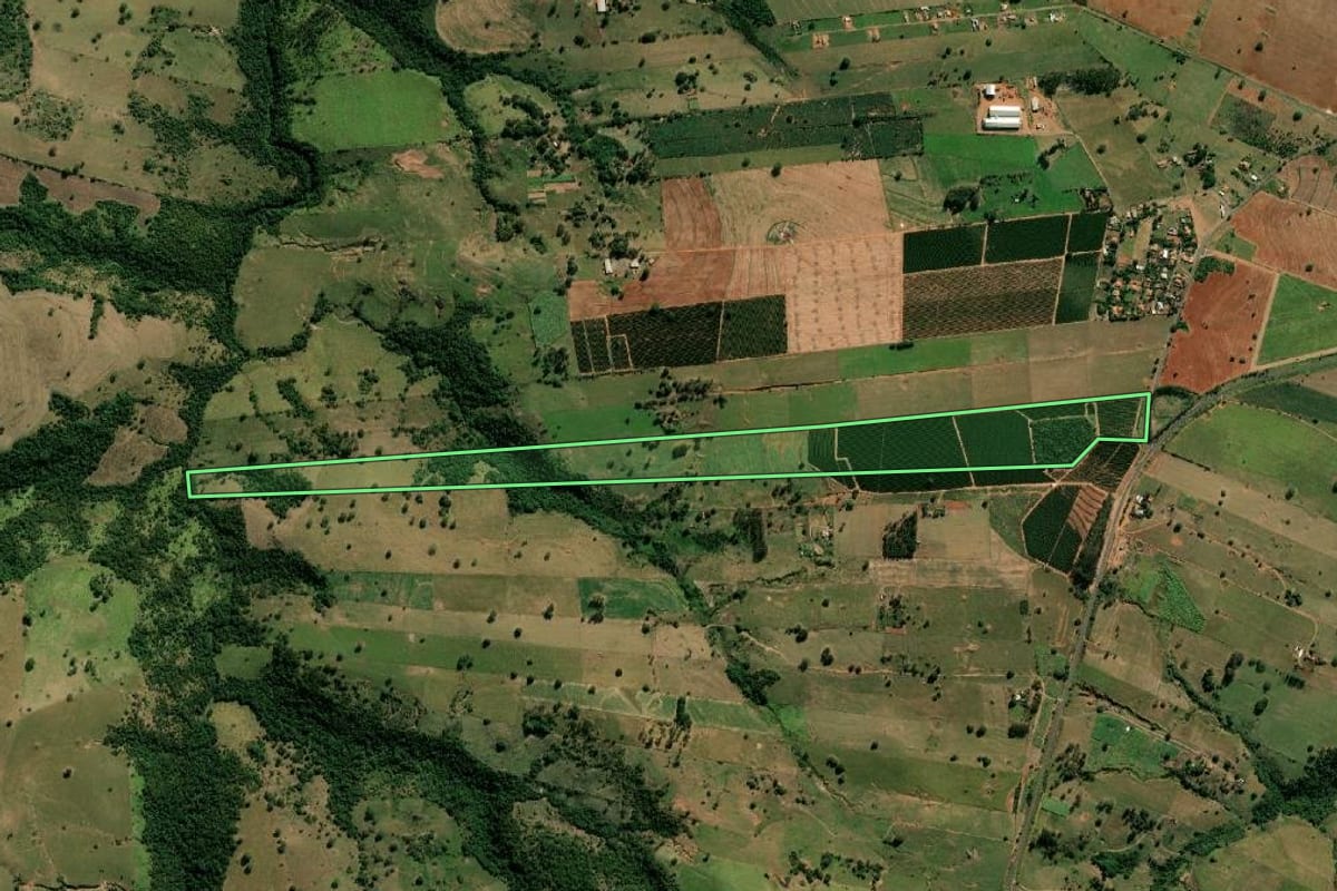 Imagem de satélite do imóvel rural em Oscar Bressane (SP), com o contorno declarado no CAR desenhado por cima.