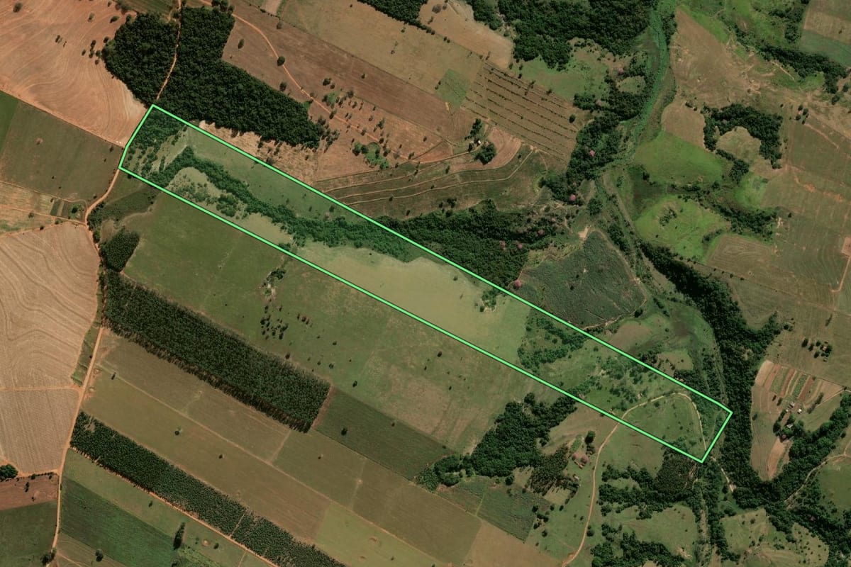 Imagem de satélite do imóvel rural em Oscar Bressane (SP), com o contorno declarado no CAR desenhado por cima.