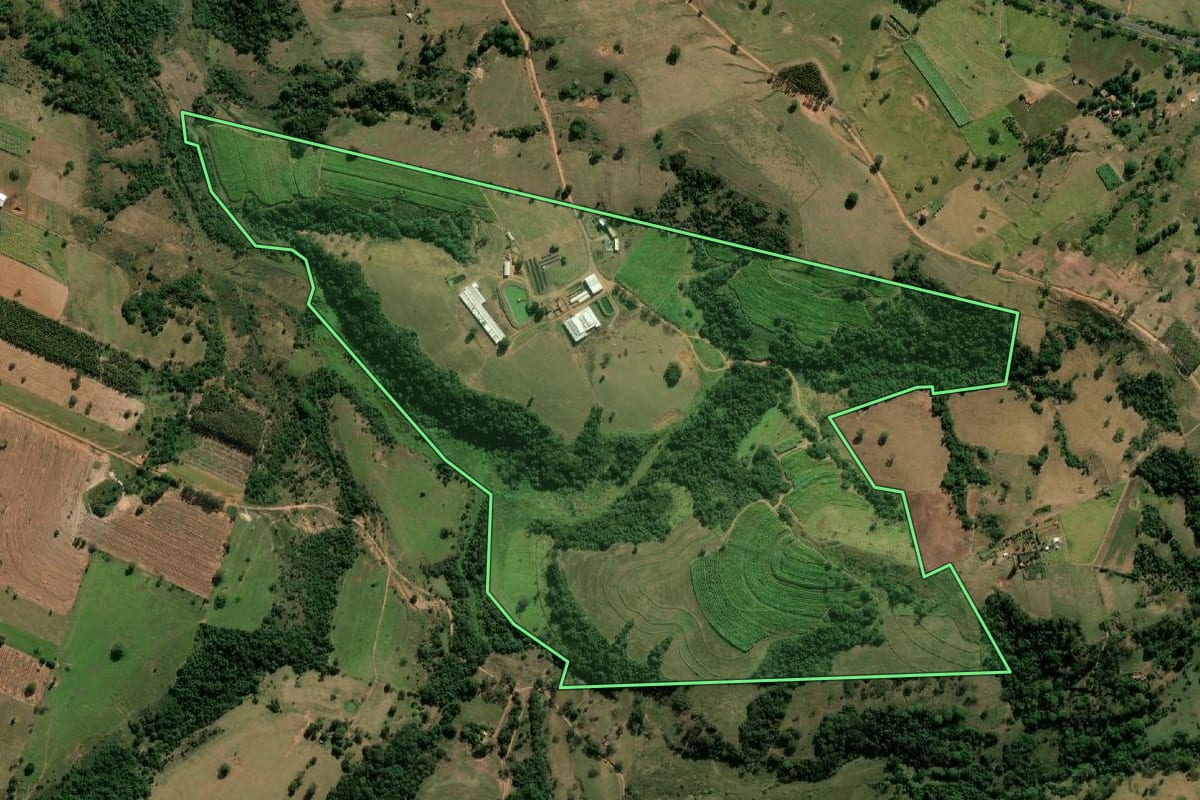 Imagem de satélite do imóvel rural em Oscar Bressane (SP), com o contorno declarado no CAR desenhado por cima.