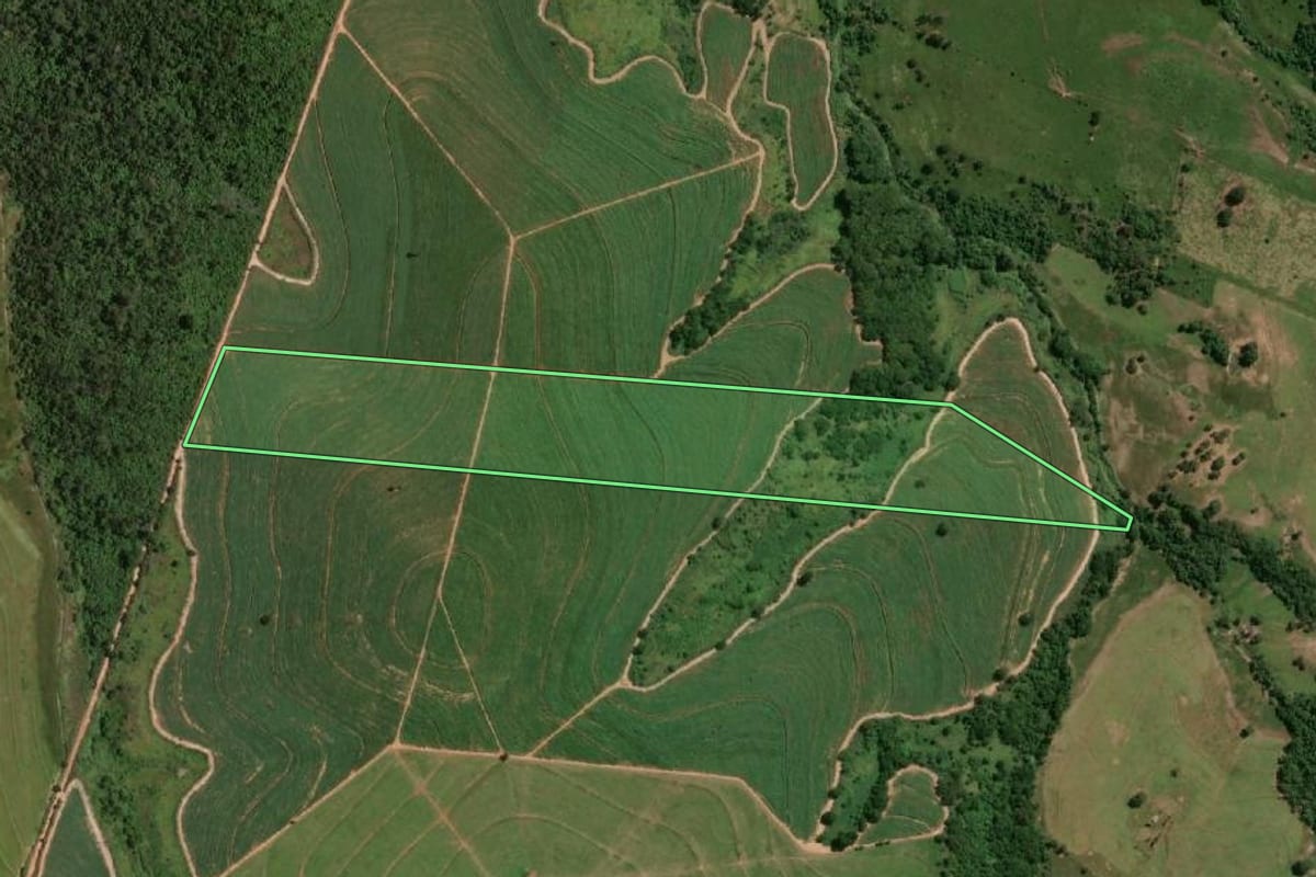 Imagem de satélite do imóvel rural em Osvaldo Cruz (SP), com o contorno declarado no CAR desenhado por cima.