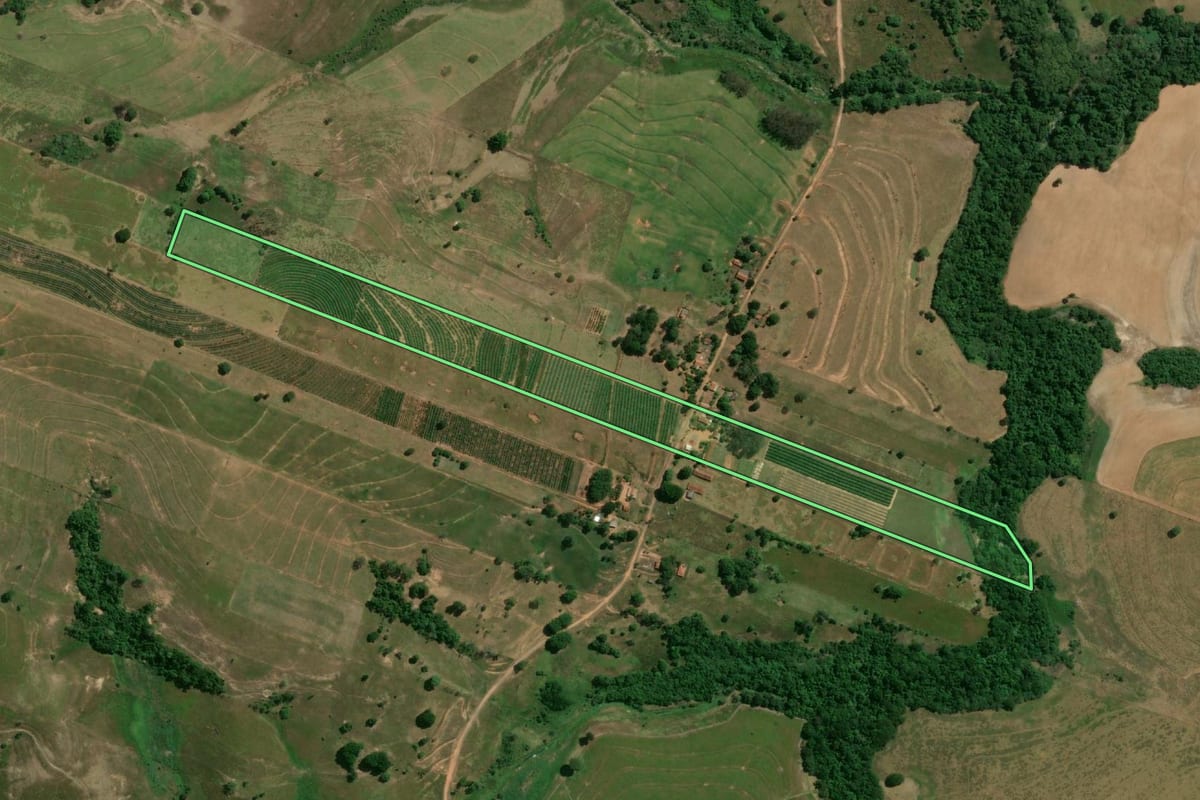 Imagem de satélite do imóvel rural em Osvaldo Cruz (SP), com o contorno declarado no CAR desenhado por cima.
