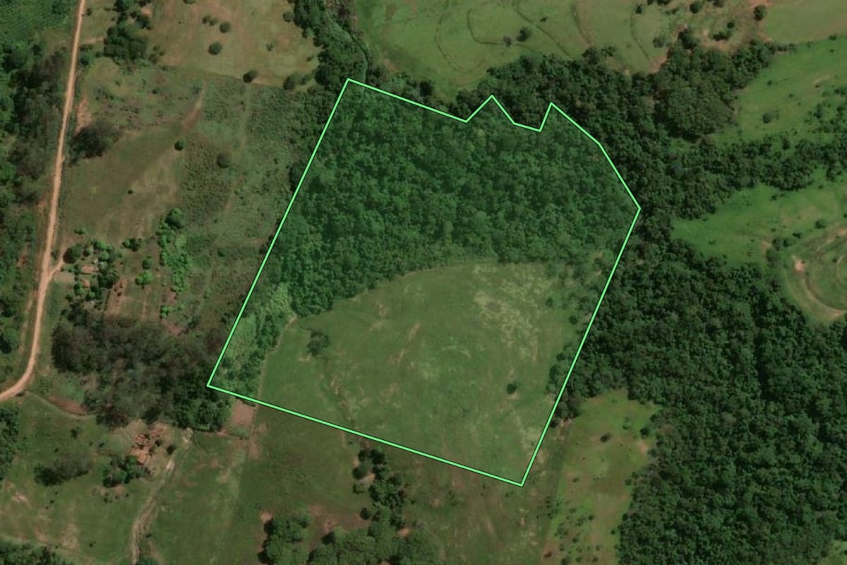 Imagem de satélite do imóvel rural em Osvaldo Cruz (SP), com o contorno declarado no CAR desenhado por cima.