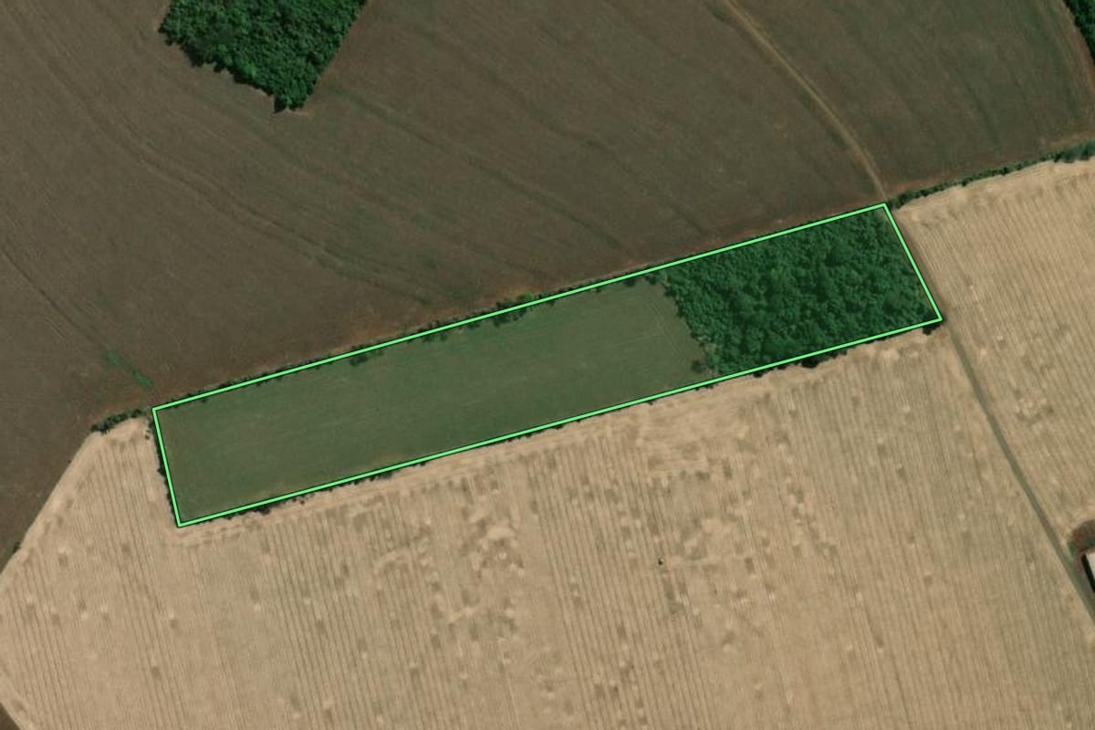 Imagem de satélite do imóvel rural em Ourinhos (SP), com o contorno declarado no CAR desenhado por cima.