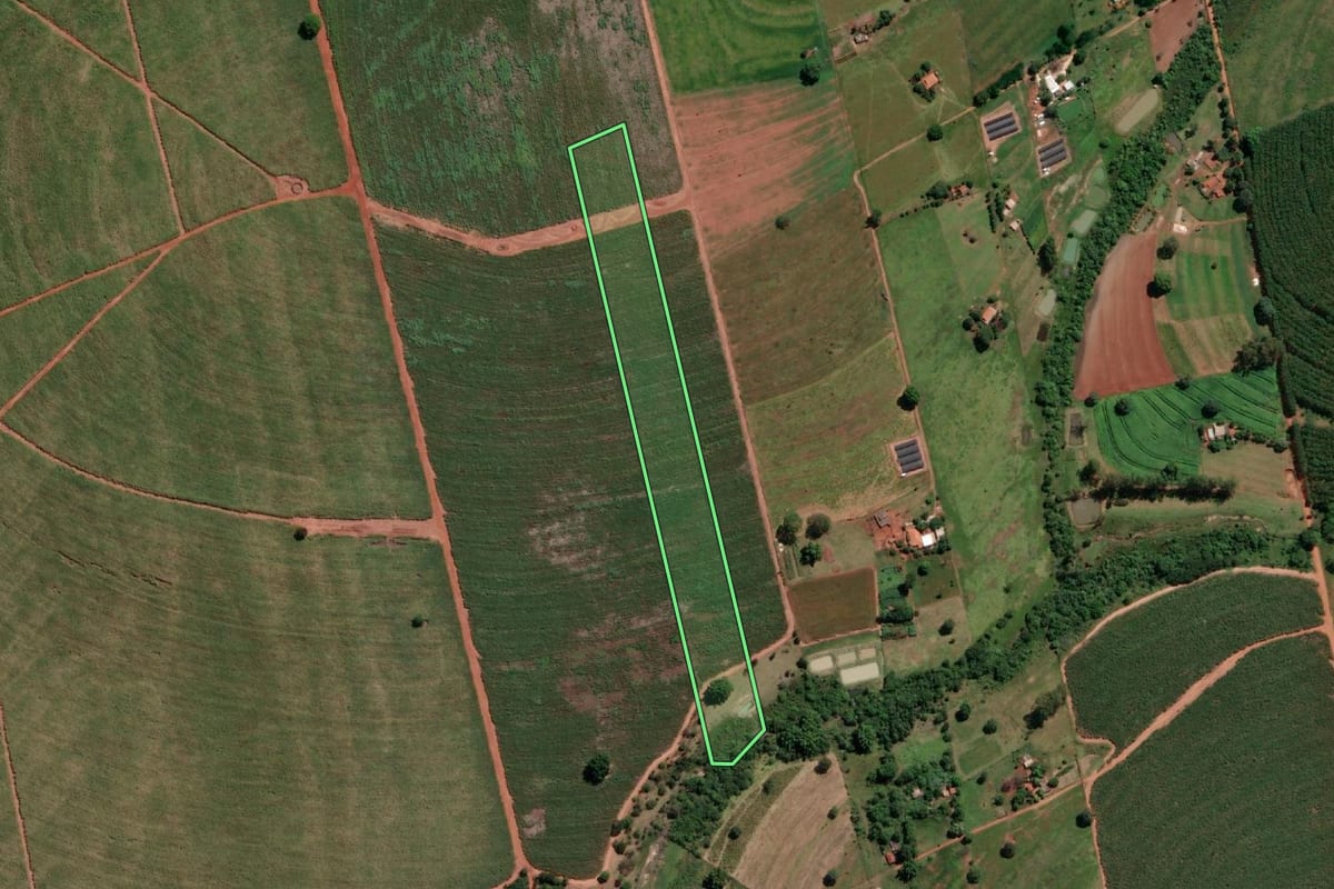 Imagem de satélite do imóvel rural em Ouroeste (SP), com o contorno declarado no CAR desenhado por cima.