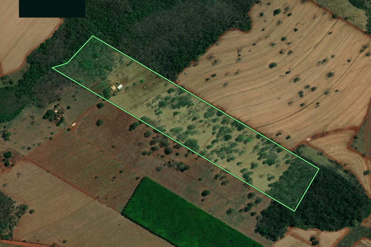 Imagem de satélite do imóvel rural em Ouroeste (SP), com o contorno declarado no CAR desenhado por cima.