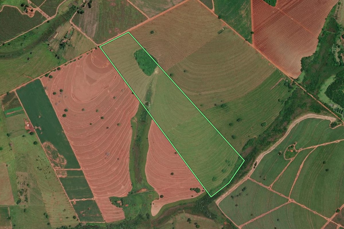 Imagem de satélite do imóvel rural em Ouroeste (SP), com o contorno declarado no CAR desenhado por cima.