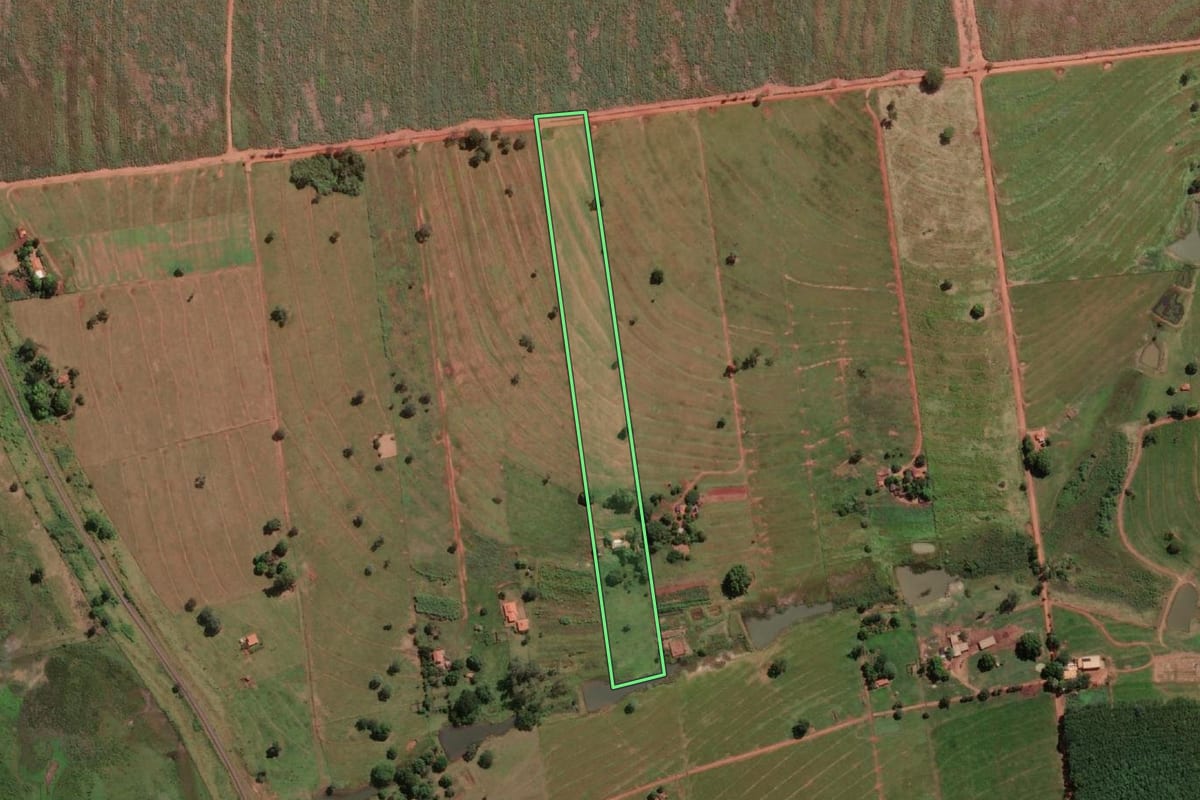 Imagem de satélite do imóvel rural em Ouroeste (SP), com o contorno declarado no CAR desenhado por cima.