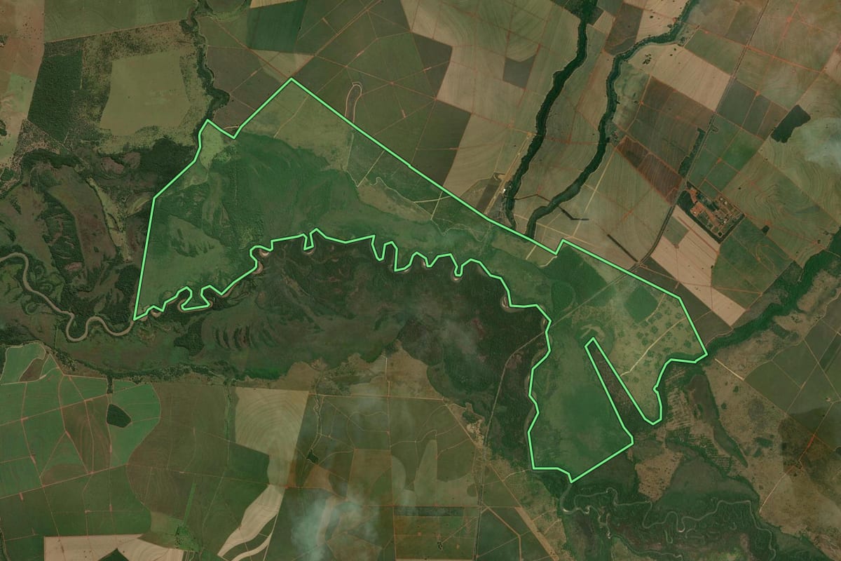 Imagem de satélite do imóvel rural em Ouro Verde (SP), com o contorno declarado no CAR desenhado por cima.