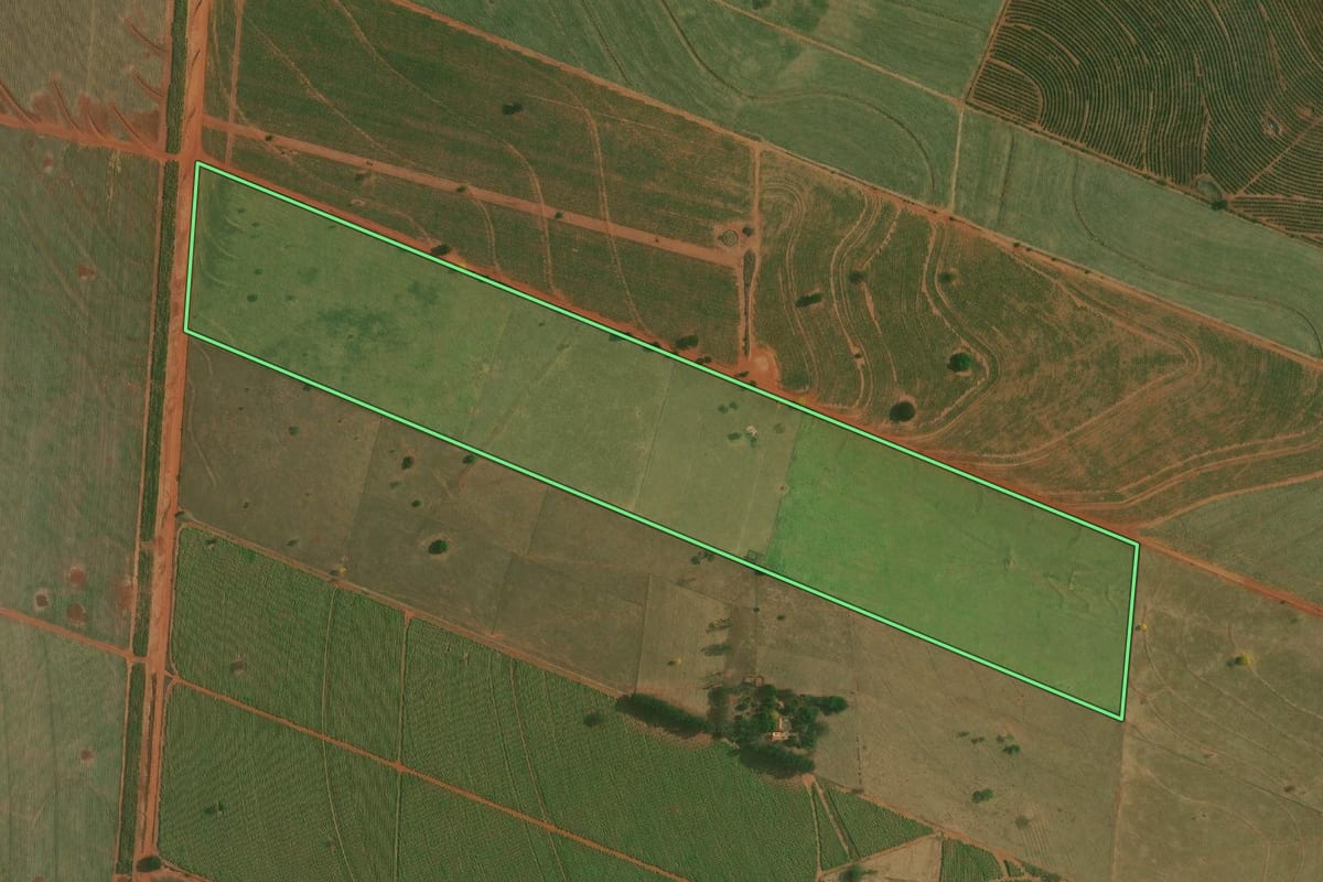 Imagem de satélite do imóvel rural em Ouro Verde (SP), com o contorno declarado no CAR desenhado por cima.