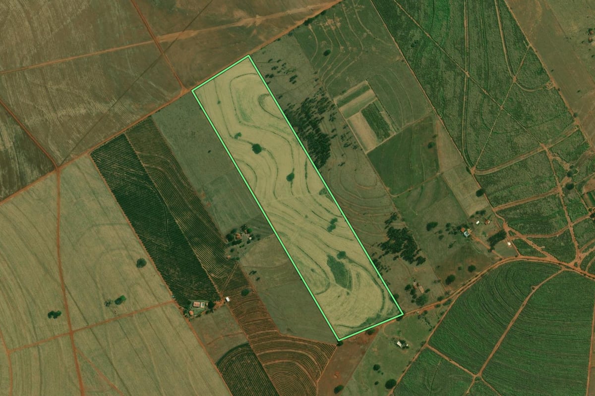 Imagem de satélite do imóvel rural em Ouro Verde (SP), com o contorno declarado no CAR desenhado por cima.