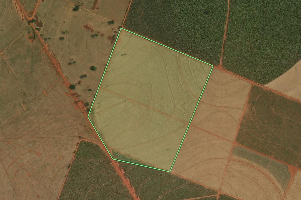 Imagem de satélite do imóvel rural em Ouro Verde (SP), com o contorno declarado no CAR desenhado por cima.