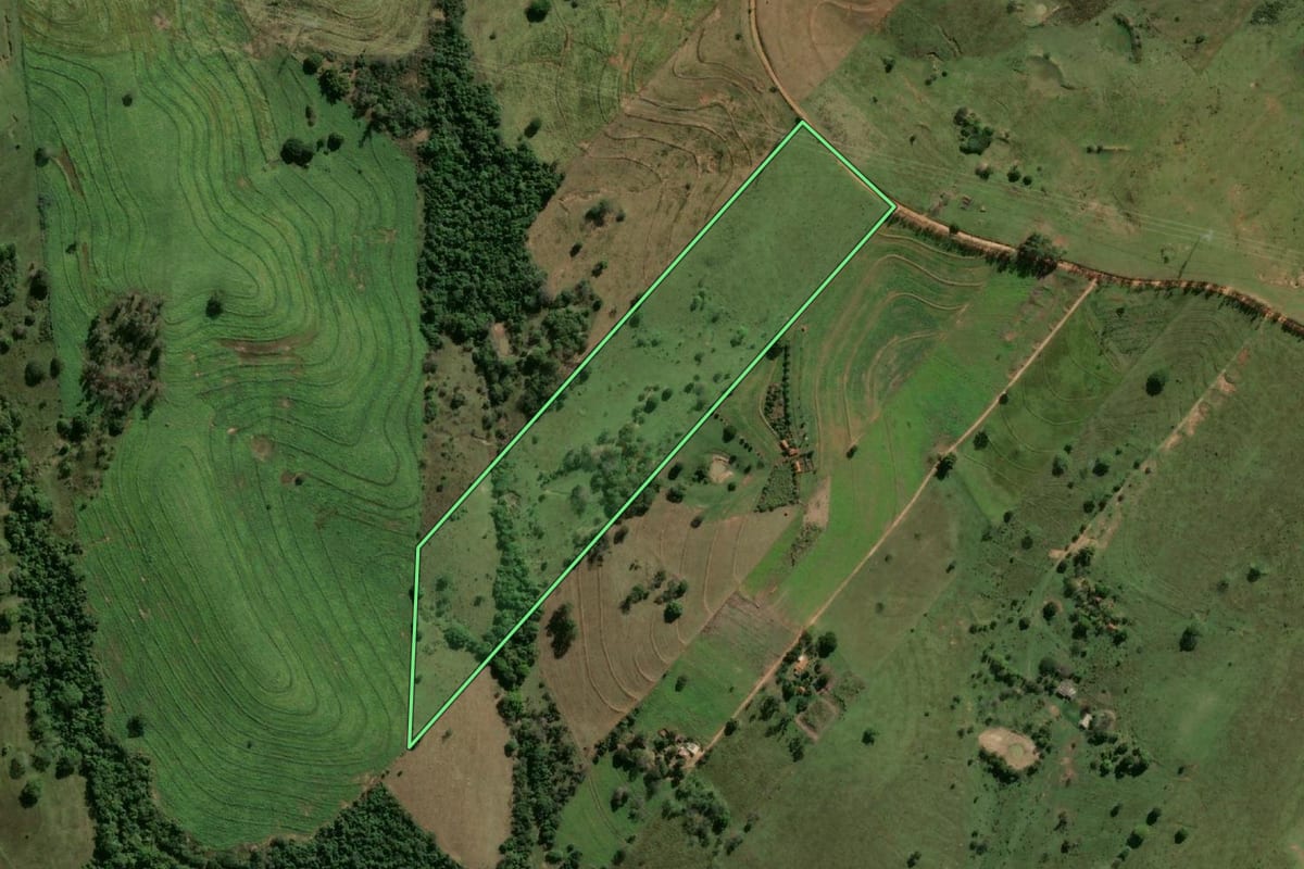 Imagem de satélite do imóvel rural em Pacaembu (SP), com o contorno declarado no CAR desenhado por cima.