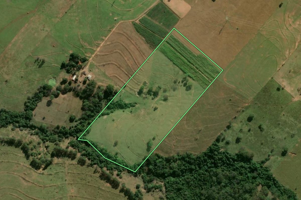 Imagem de satélite do imóvel rural em Pacaembu (SP), com o contorno declarado no CAR desenhado por cima.
