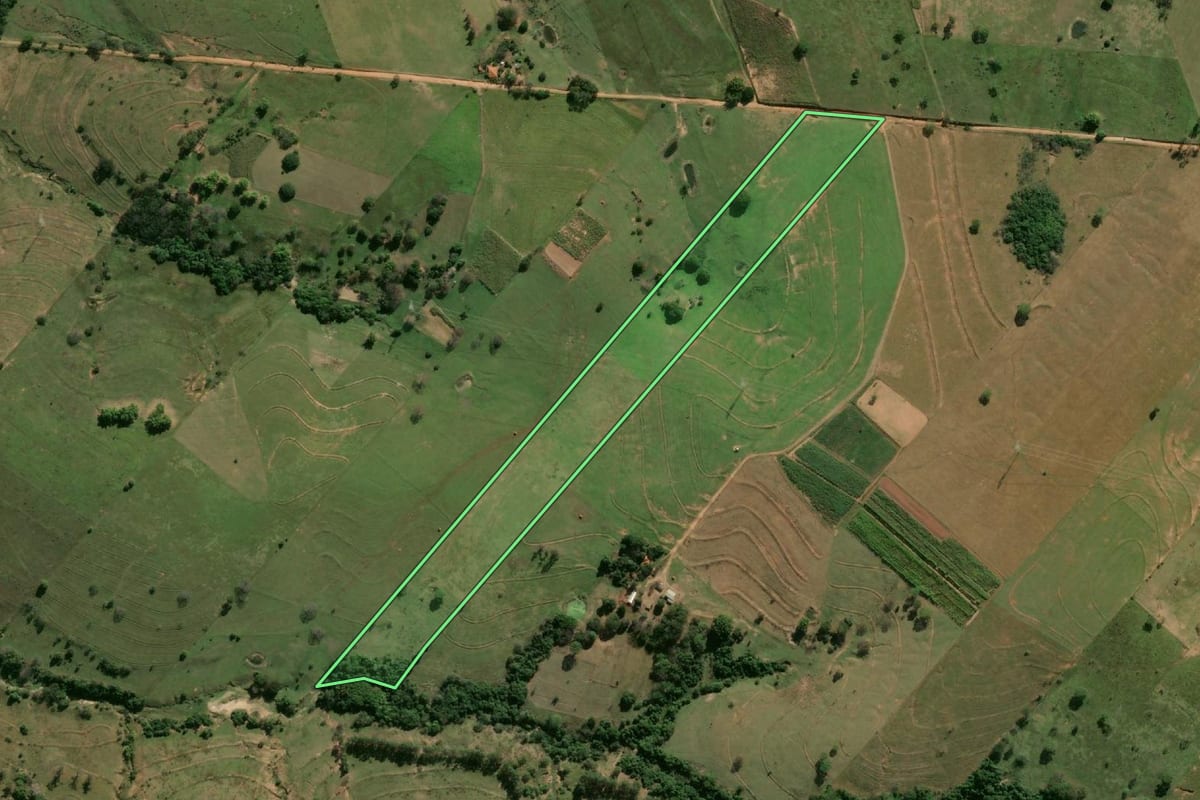 Imagem de satélite do imóvel rural em Pacaembu (SP), com o contorno declarado no CAR desenhado por cima.