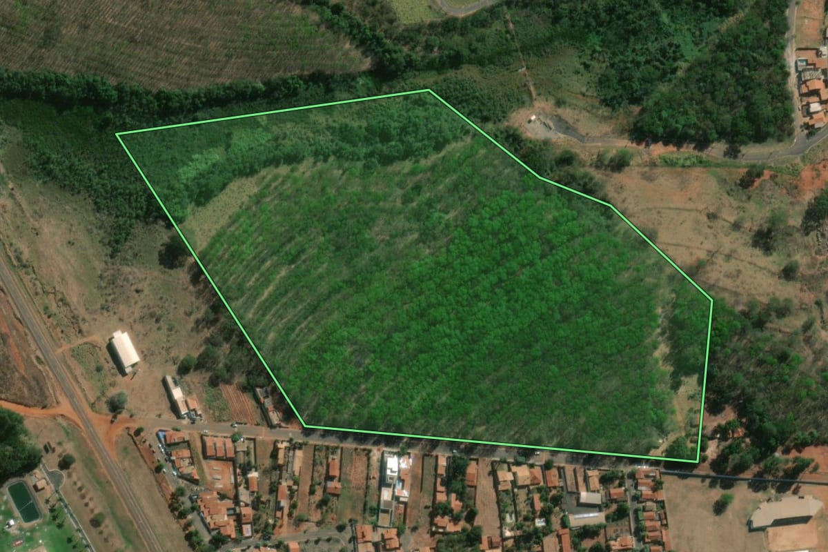 Imagem de satélite do imóvel rural em Palestina (SP), com o contorno declarado no CAR desenhado por cima.